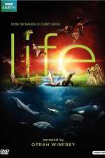 Watch Life Freemovieswatch