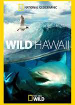Watch Wild Hawaii Freemovieswatch
