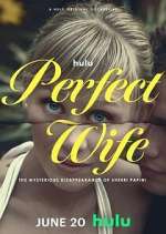 Watch Perfect Wife: The Mysterious Disappearance of Sherri Papini Freemovieswatch