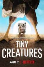 Watch Tiny Creatures Freemovieswatch