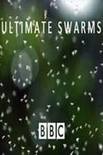 Watch Ultimate Swarms Freemovieswatch