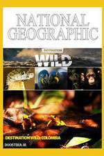 Watch Destination Wild: Colombia Freemovieswatch