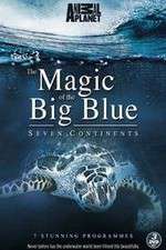 Watch The Magic of the Big Blue Freemovieswatch