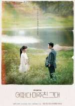Watch Met You By Chance Freemovieswatch