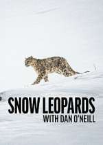 Watch Snow Leopards with Dan O\'Neill Freemovieswatch
