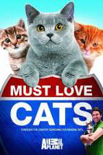Watch Must Love Cats Freemovieswatch