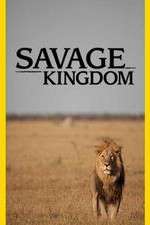 Watch Savage Kingdom Freemovieswatch
