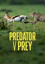 Watch Predator v Prey Freemovieswatch