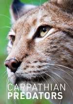Watch Carpathian Predators Freemovieswatch