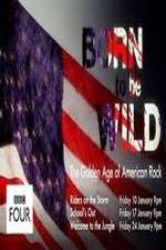 Watch Born to Be Wild: The Golden Age of American Rock Freemovieswatch
