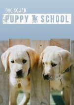 Watch Dog Squad: Puppy School Freemovieswatch