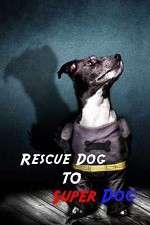 Watch Rescue Dog to Super Dog Freemovieswatch
