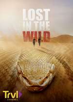 Watch Lost in the Wild Freemovieswatch