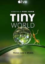 Watch Tiny World Freemovieswatch