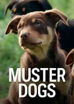 Watch Muster Dogs Freemovieswatch