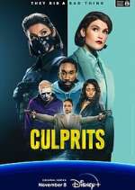 Watch Culprits Freemovieswatch