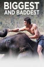 Watch Biggest and Baddest Freemovieswatch