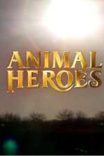 Watch Animal Heroes Freemovieswatch
