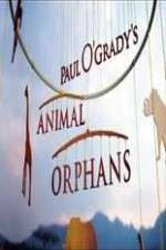 Watch Paul O'Grady's Animal Orphans Freemovieswatch
