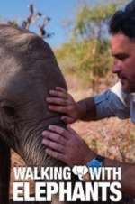 Watch Walking with Elephants Freemovieswatch