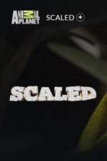 Watch Scaled Freemovieswatch