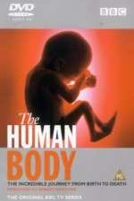 Watch The Human Body Freemovieswatch