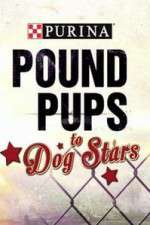 Watch Purina Pound Pups To Dog Stars Freemovieswatch