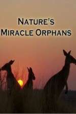 Watch Nature's Miracle Orphans Freemovieswatch