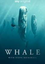 Watch Whale with Steve Backshall Freemovieswatch