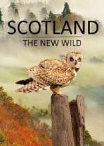 Watch Scotland - The New Wild Freemovieswatch