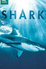 Watch Shark Freemovieswatch