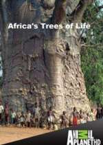 Watch Africa's Trees of Life Freemovieswatch