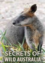 Watch Secrets of Wild Australia Freemovieswatch