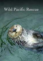 Watch Wild Pacific Rescue Freemovieswatch