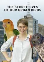 Watch The Secret Lives of Our Urban Birds Freemovieswatch