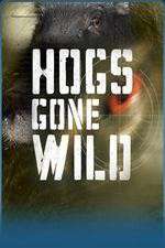Watch Hogs Gone Wild Freemovieswatch