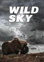 Watch Wild Sky Freemovieswatch
