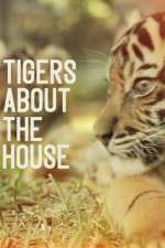 Watch Tigers About the House Freemovieswatch