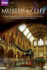Watch BBC Museum of Life Freemovieswatch