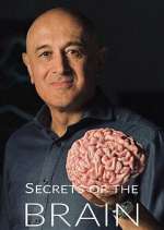 Watch Secrets of the Brain Freemovieswatch