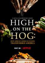 Watch High on the Hog: How African American Cuisine Transformed America Freemovieswatch
