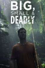 Watch Big, Small & Deadly Freemovieswatch