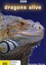 Watch Dragons Alive Freemovieswatch