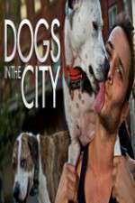 Watch Dogs in the City Freemovieswatch