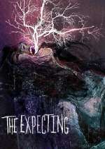 Watch The Expecting Freemovieswatch