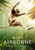 Watch Airborne Freemovieswatch
