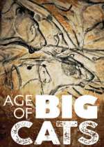 Watch Age of Big Cats Freemovieswatch