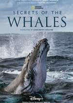 Watch Secrets of the Whales Freemovieswatch