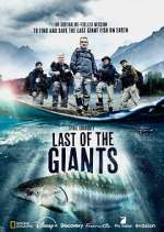Watch Last of the Giants: Wild Fish Freemovieswatch