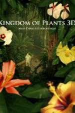 Watch Kingdom of Plants 3D Freemovieswatch